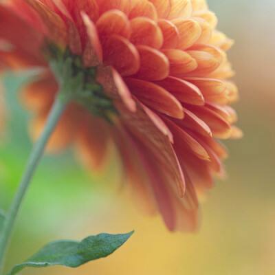 BET9官方APP下载正版截图