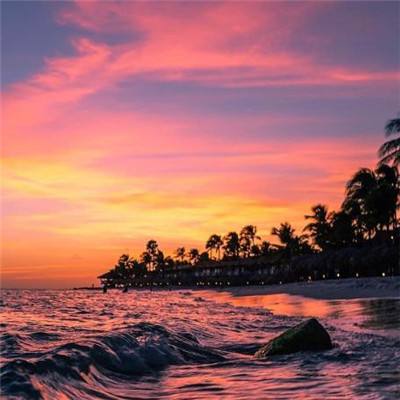 yabo手机版官网登录