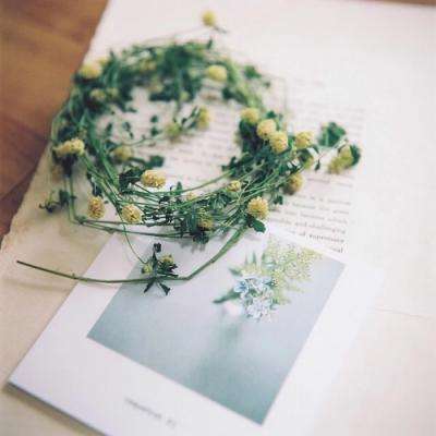 欧宝江南官方下载